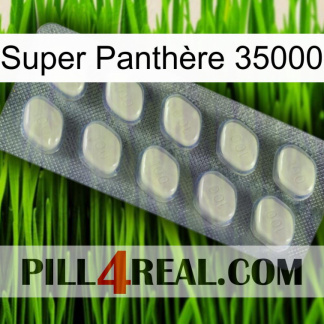 Super Panthère 35000 08